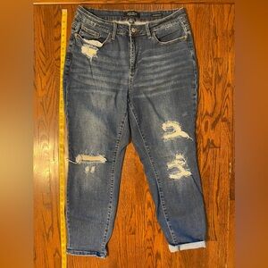 Judy Blue Boyfriend Size 16W